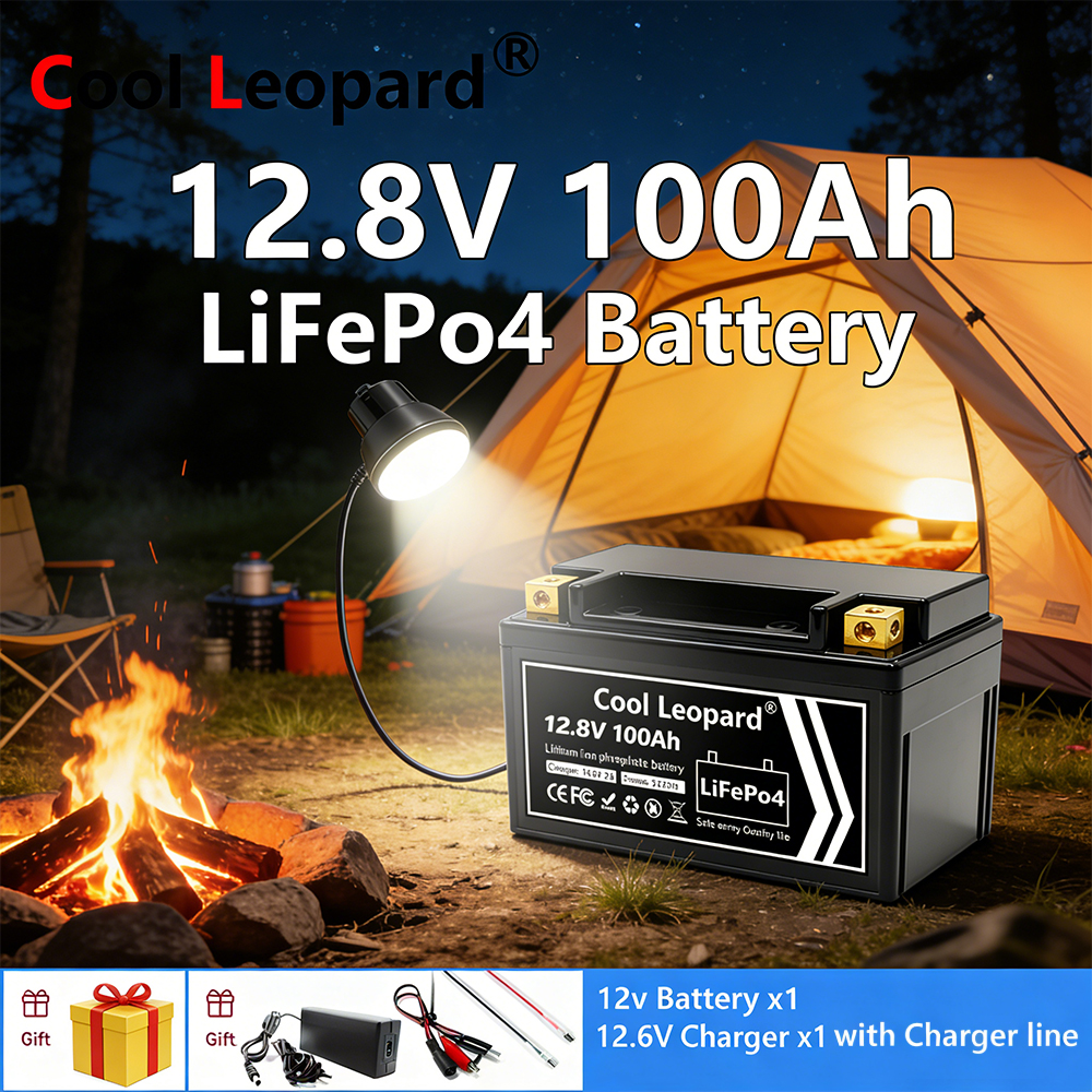 Lightweight 12V 100Ah LiFePO4  - Fish Finder Charger recensione e prezzo