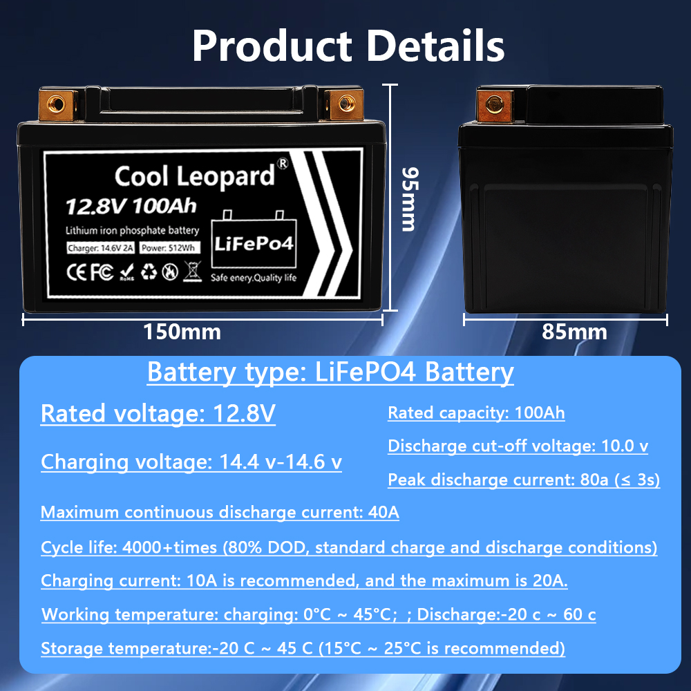 Lightweight 12V 100Ah LiFePO4  - Fish Finder Charger recensione e prezzo