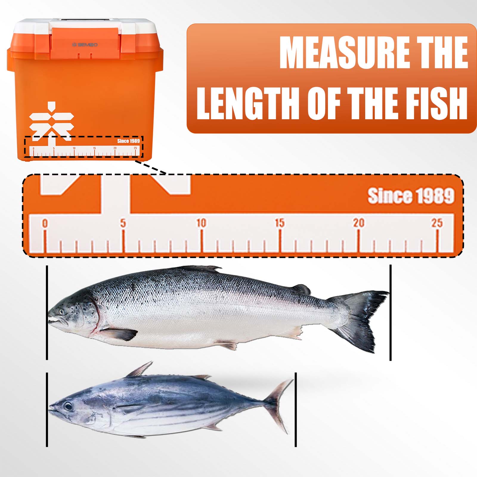 ZUKIBO 21L Large Capacity Fish - Fish Finder Case recensione e prezzo